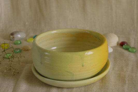 Apple green planter with plate