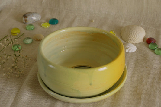 Apple green planter with plate