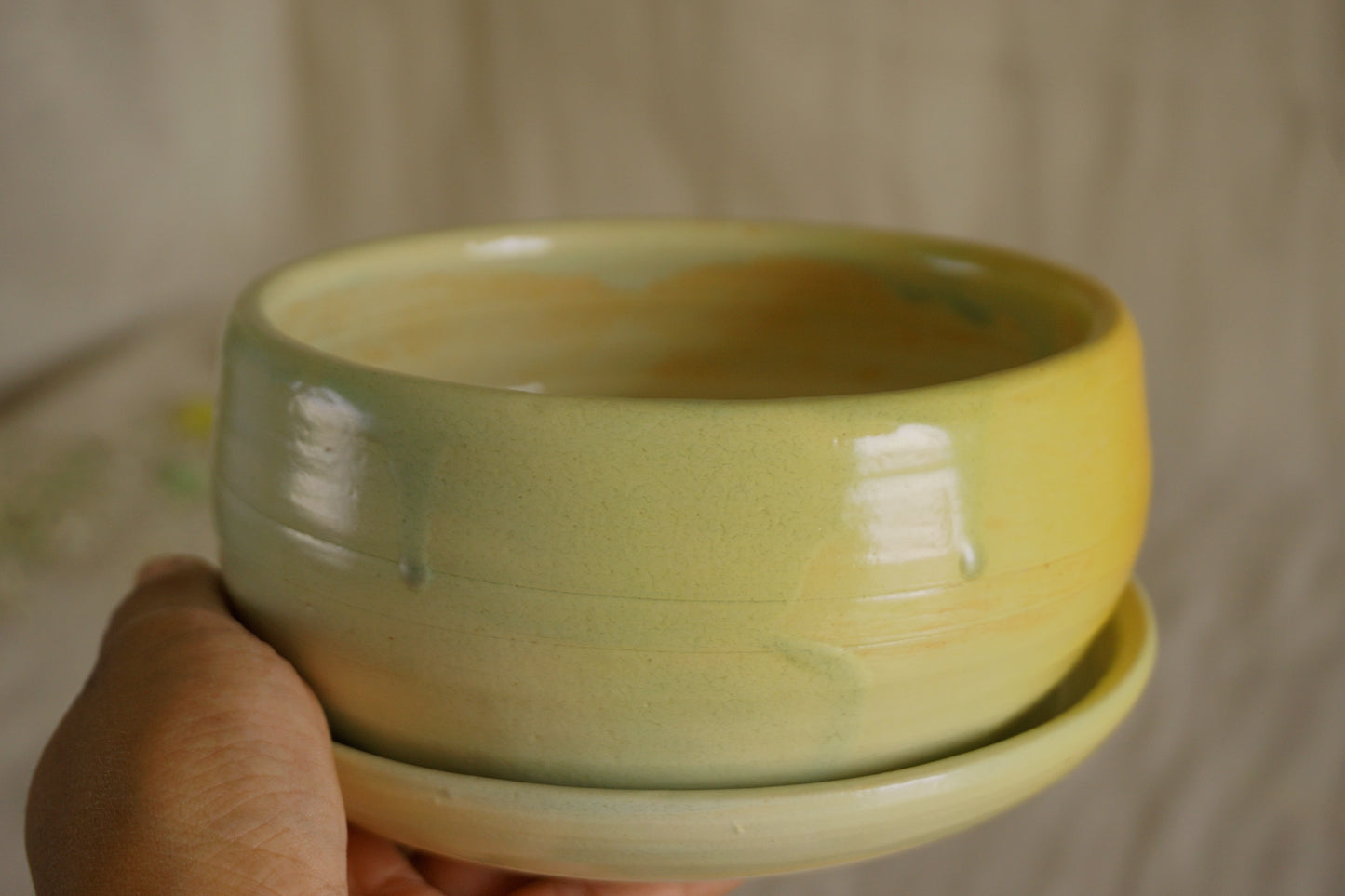 Apple green planter with plate